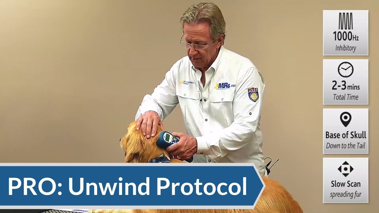 Laser Therapy Protocol: Start with Unwind Protocol | ACTIVet PRO
