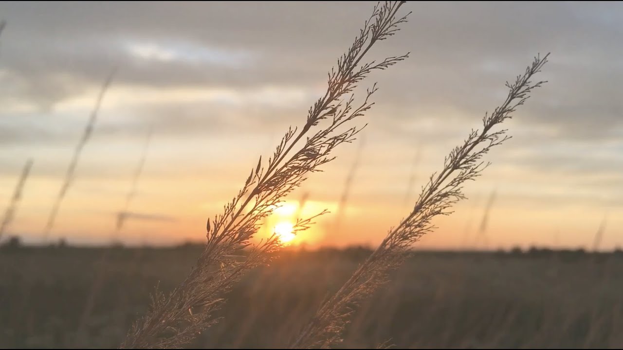 CHILLOUT MUSIC MIX 2021| AMBIENT CHILLOUT MUSIC| AMBIENT MUSIC FOR STUDYING|