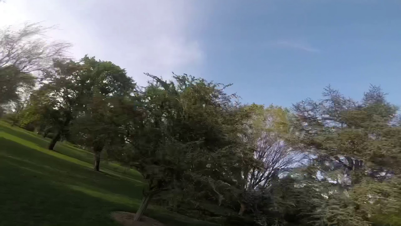 Tree Surfing