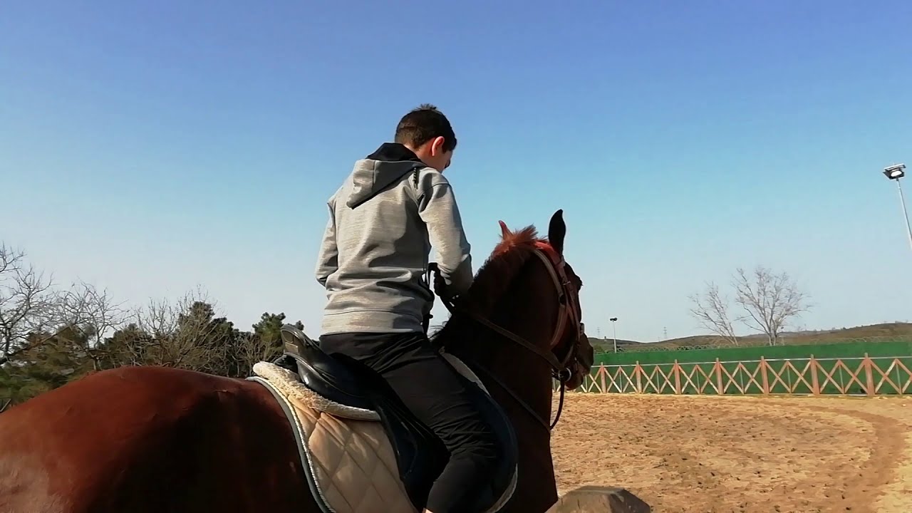 At Binicilik Tesisleri