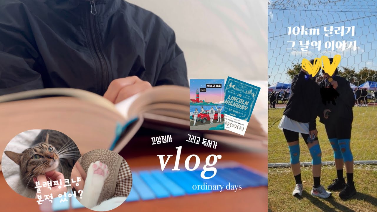 vlog | 독서브이로그 | 웃기고 울리는 소설 찾습니까? | 영수와 0수 | 10km 달리기 대회 그 날의 이야기 | 꼬마고양이와 함께하는 일상 | ordinary days