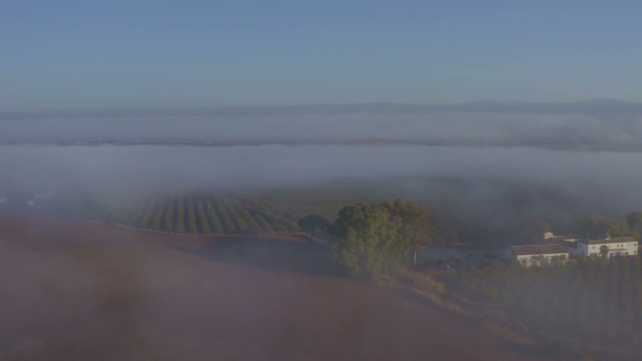 Caminando sobre la niebla