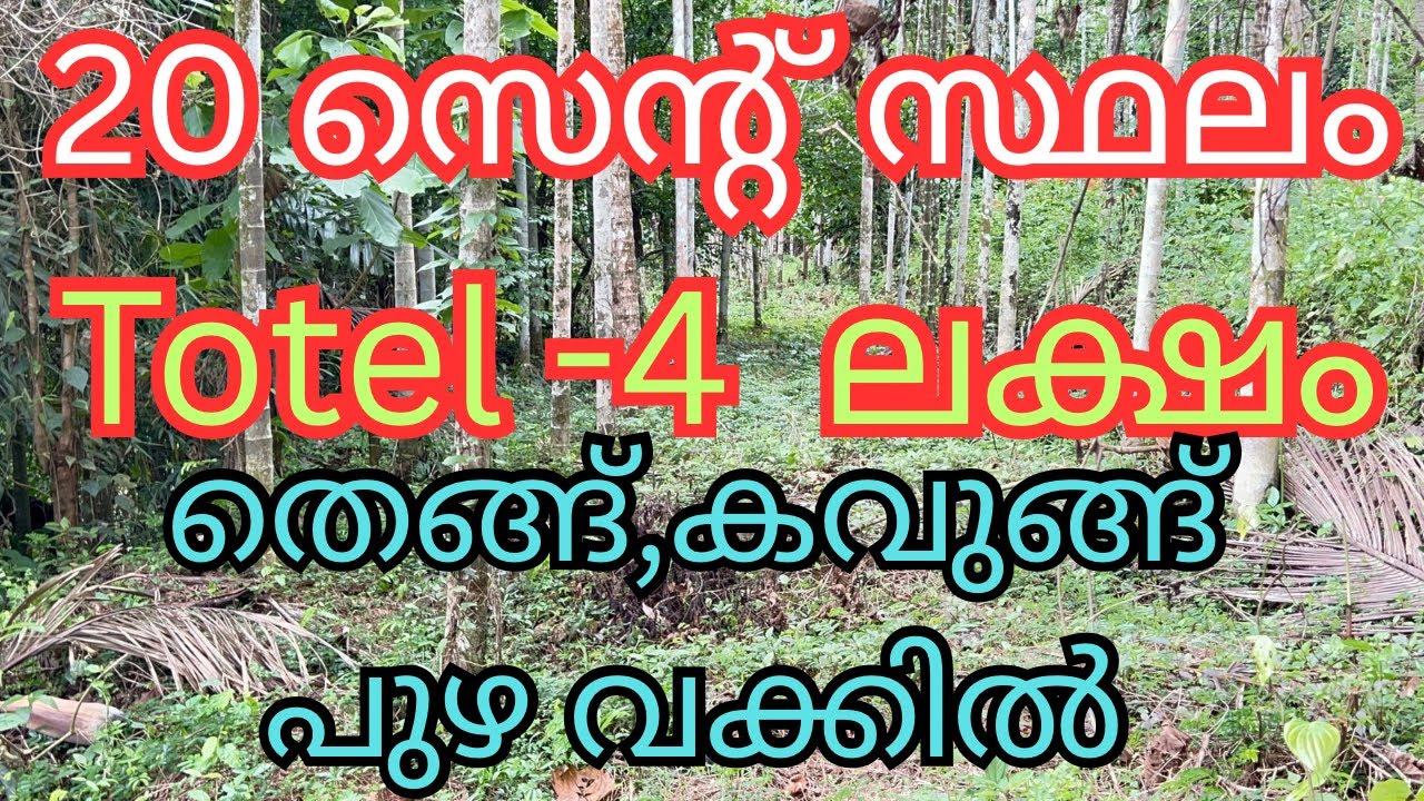 വെറും 4 ലക്ഷം രൂപക്ക് 20 സെന്റ് സ്ഥലം തെങ്ങ് കവുങ്ങ് പുഴ വക്കിൽ