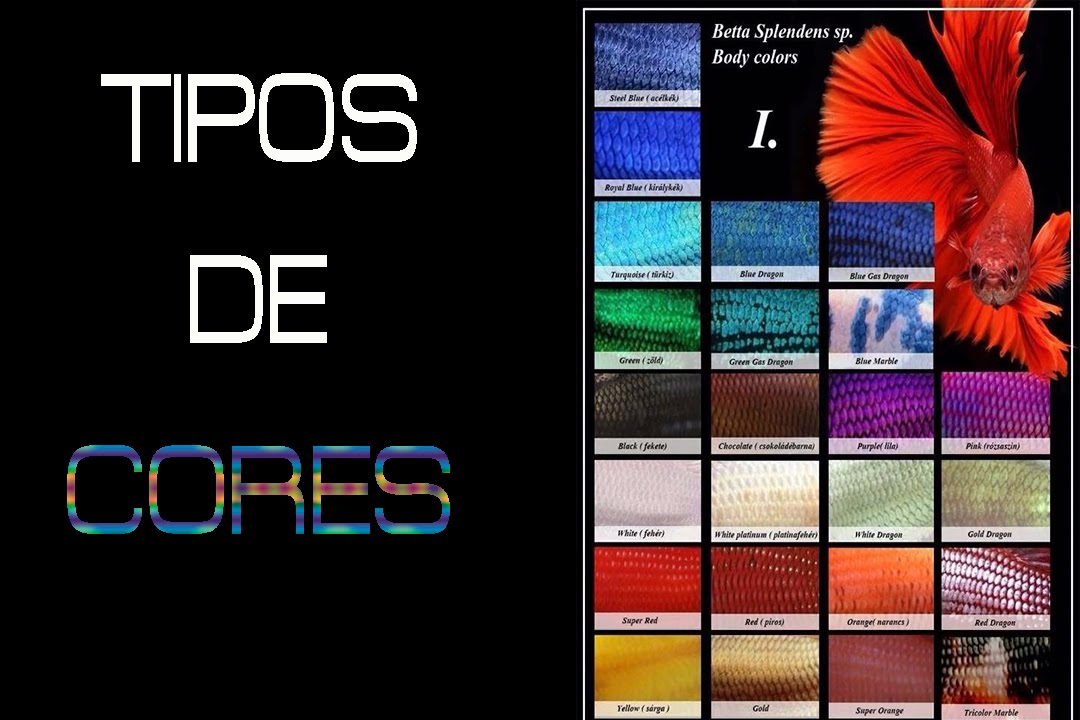 CORES DOS BETTAS (CRIADOR 02)