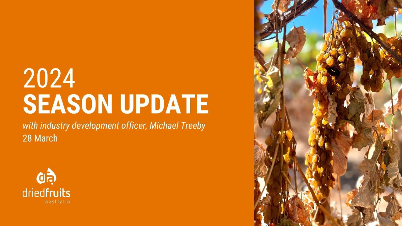 Australian Dried Grape March 2024 season update