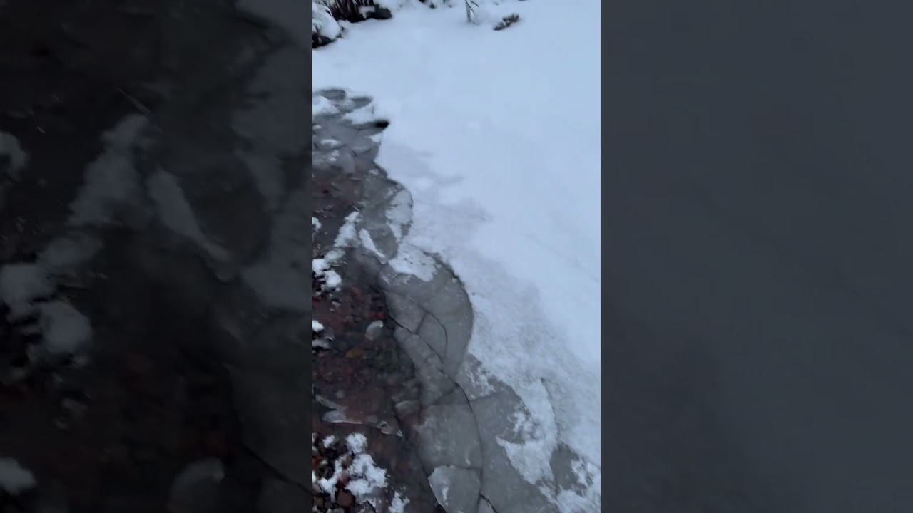 #walking #thin #ice #lake #frozen #shorts #video #winter #viral #sweden