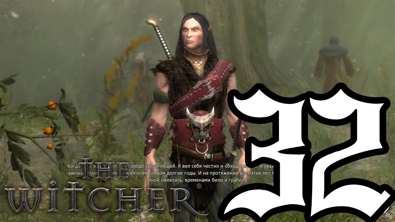The Witcher #32 [Радовид, Яевинн и т.д.]