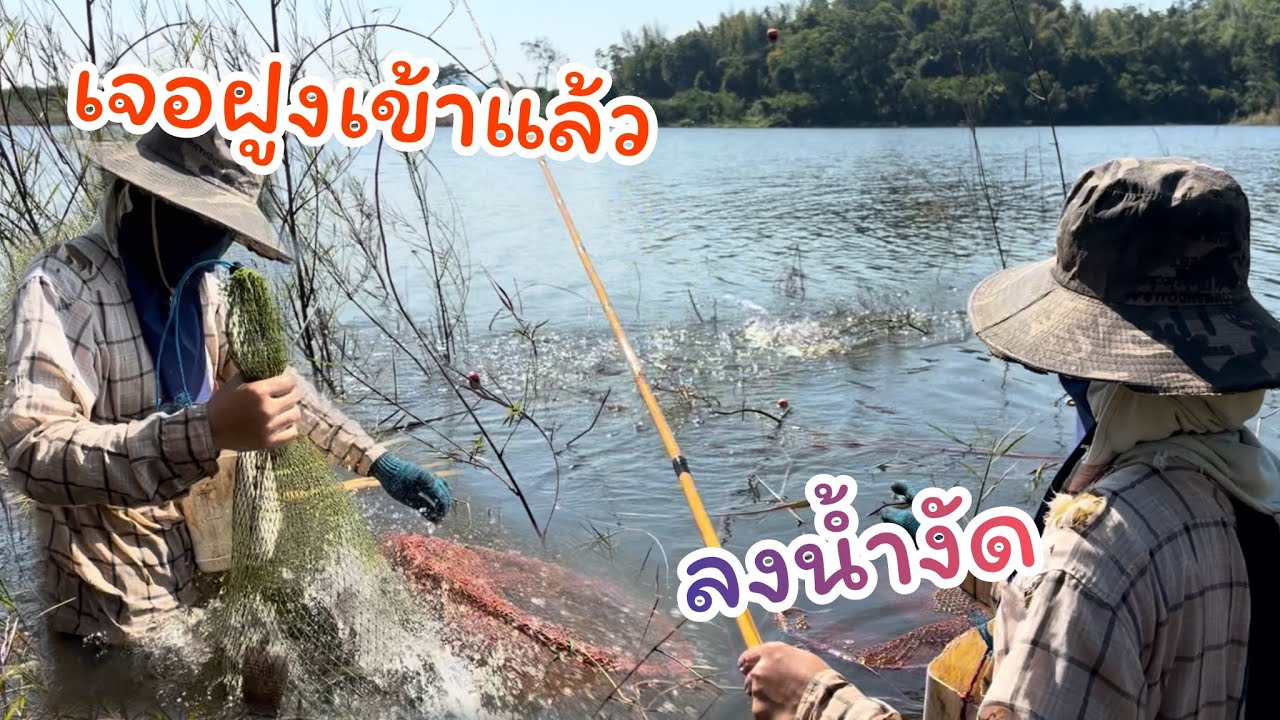 #ตกปลาคันไม้ไผ่ ถึงกับลากคันไปเลย ลงน้ำตกปลา เจอฝูงต้องตื้อ 