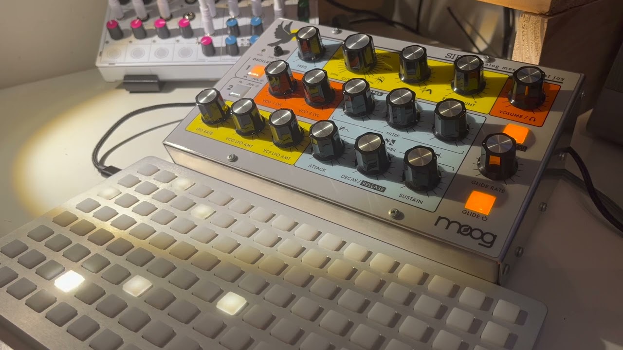 moog sirin / mf-104m / norns awake