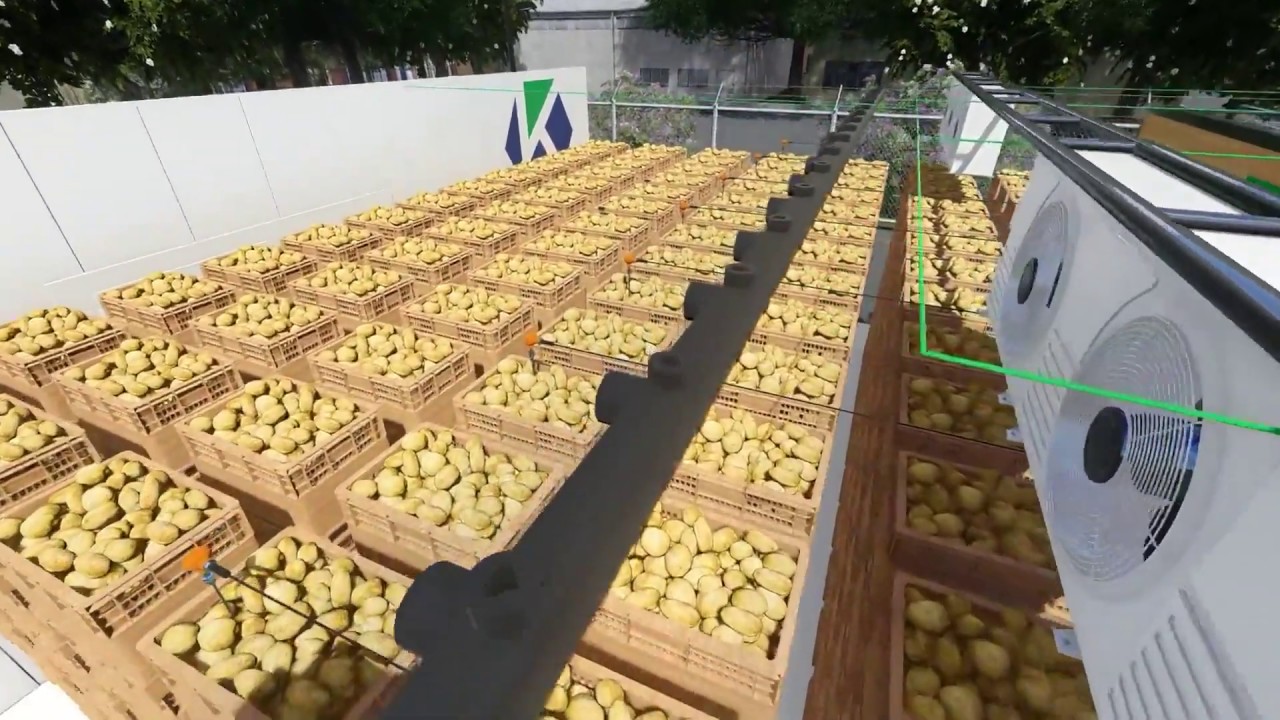 Cold room for potatoes