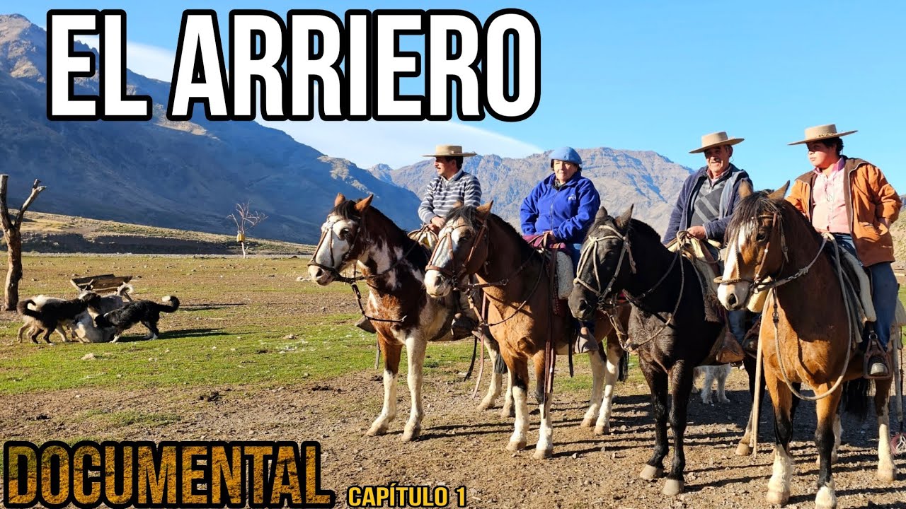 Arrieros Tesoros Humanos, Región del Maule Arreo de cabras en la Cordillera #caballos #trashumancia