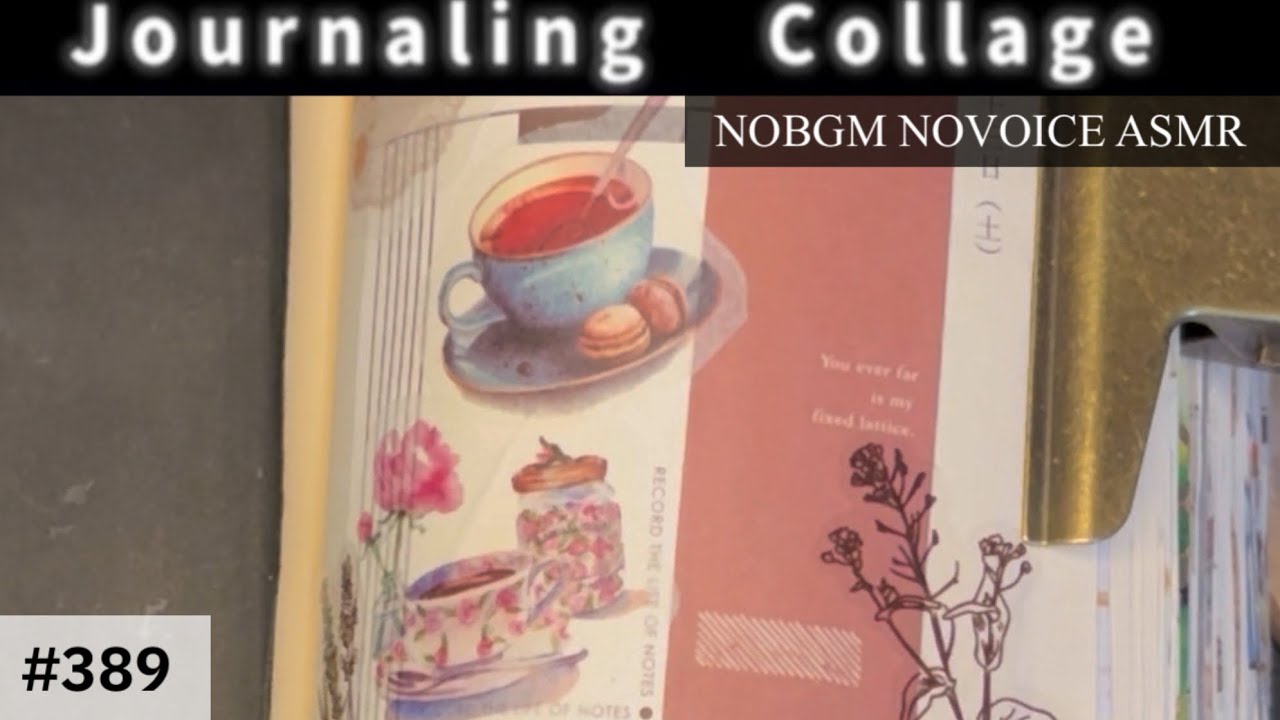 ［#433］マイブックコラージュ(NOBGMNOVOICEASMR)