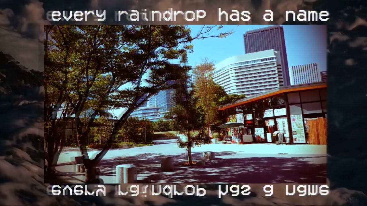 a tulip with no shadow blossoms 🌸💧  Japanese Lofi HipHop Tape