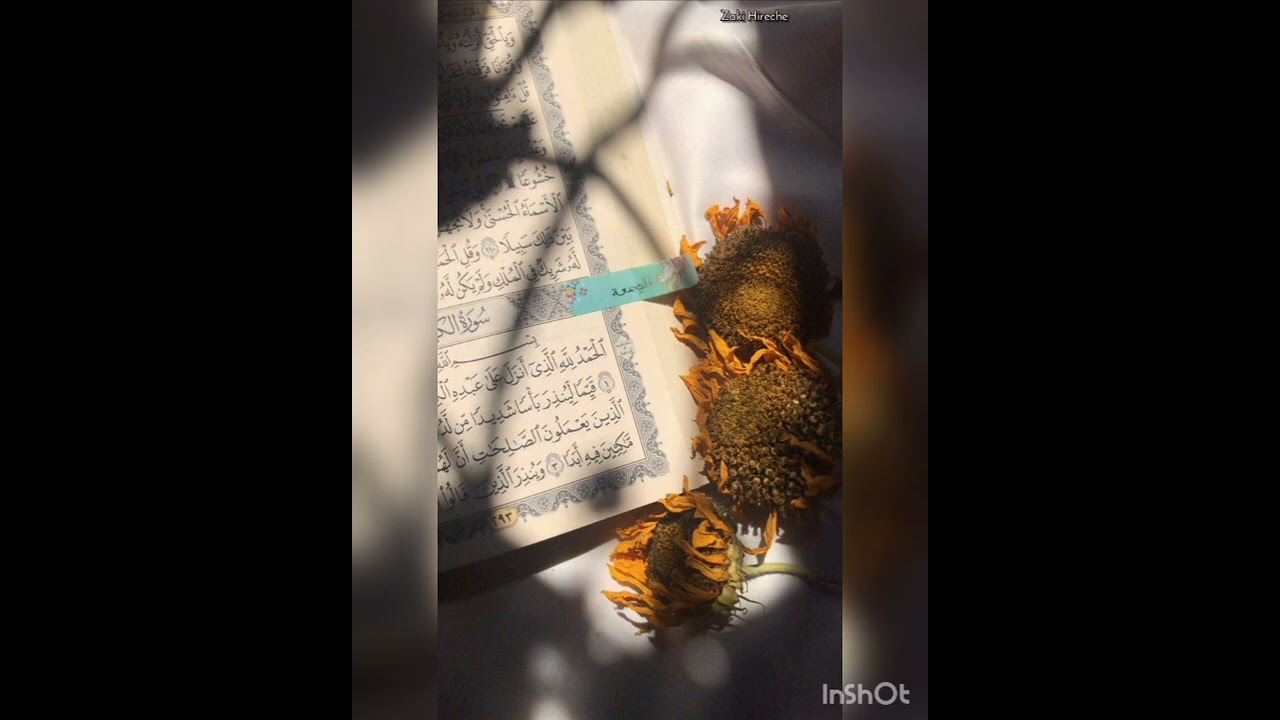 قراءة عذبة و هادئة من الشيخ موسى البحري ❤️🤲