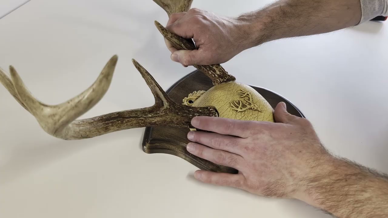 Cauff Whitetail Deer Antler Mounting Kit, Solid Wood Plaque, Installation Instructions