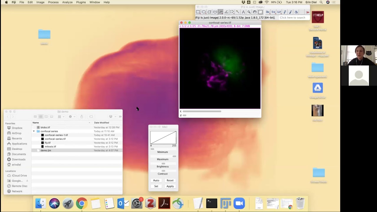Introduction to automation in ImageJ and Fiji