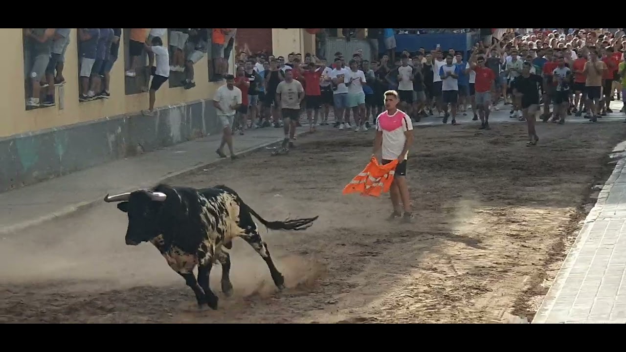 Festejos Populares Foios 2024.Toros Cerriles Ganaderias Gerardo Ortega & Torrestrella.29/06