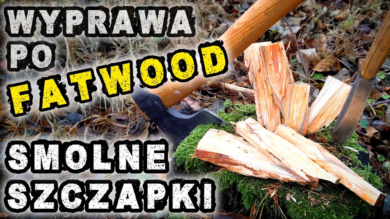 FATWOOD Smolne Szczapki Czyli Wyprawa Po LEŚNE ZŁOTO Smolniaki Outdoor Mazury 