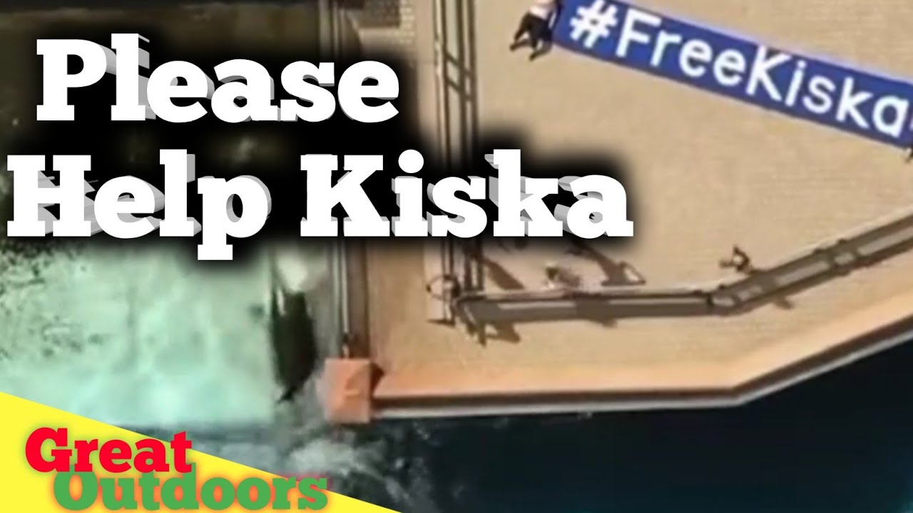 #Free