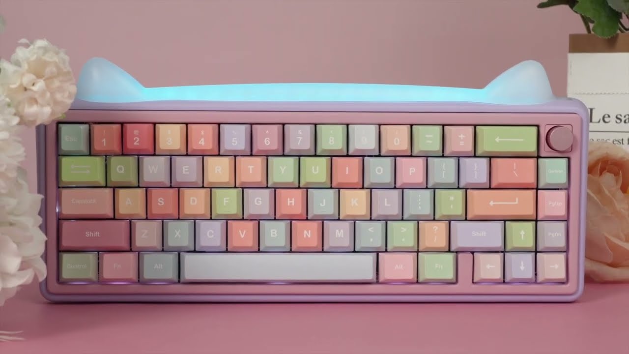 Chilkey Paw65 Keyboard Showcase