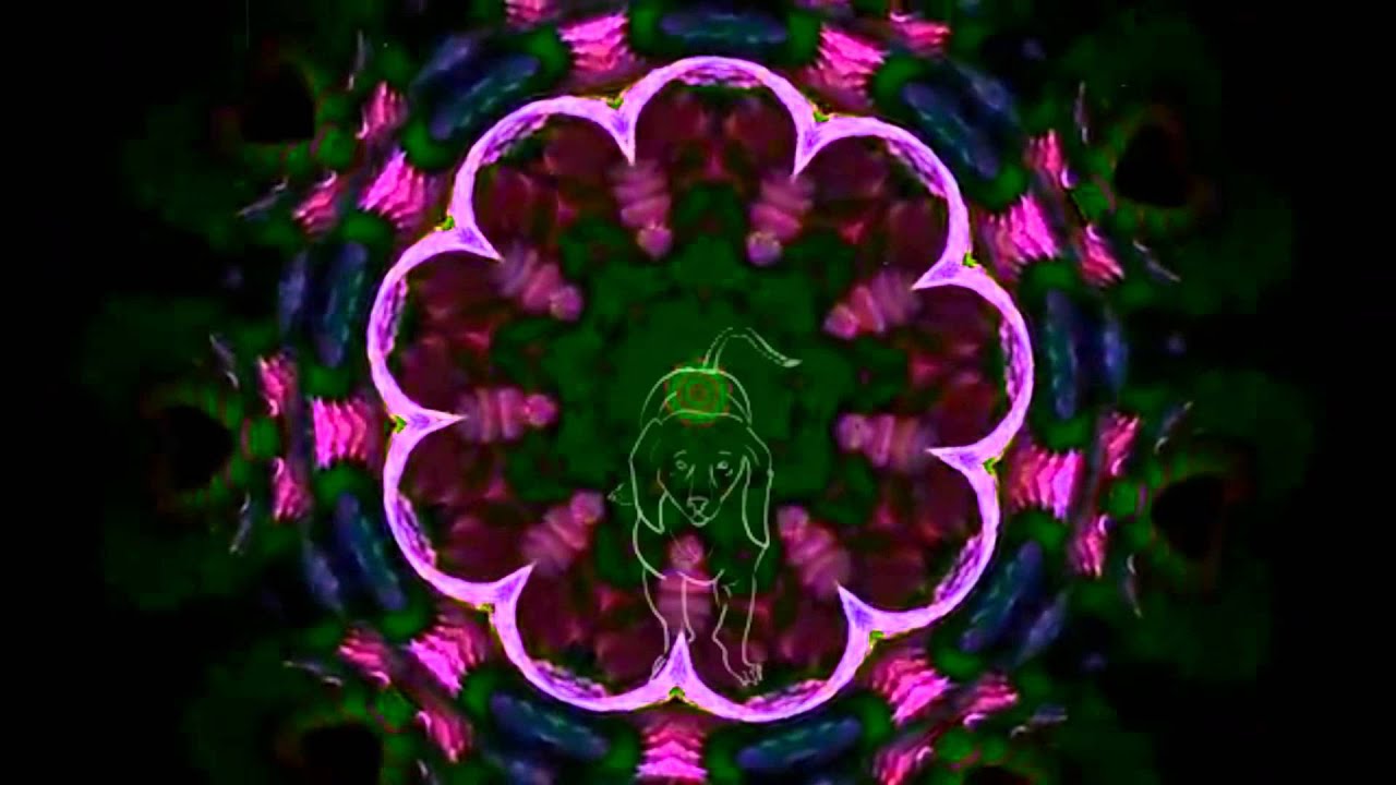 Sound Healing for Dogs - OM Chant