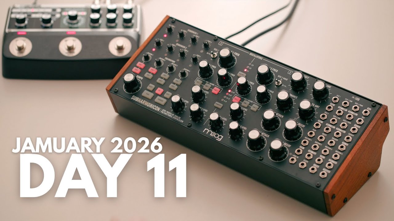 Moog Subharmonicon + Boss RE-202 // Lost in the waves