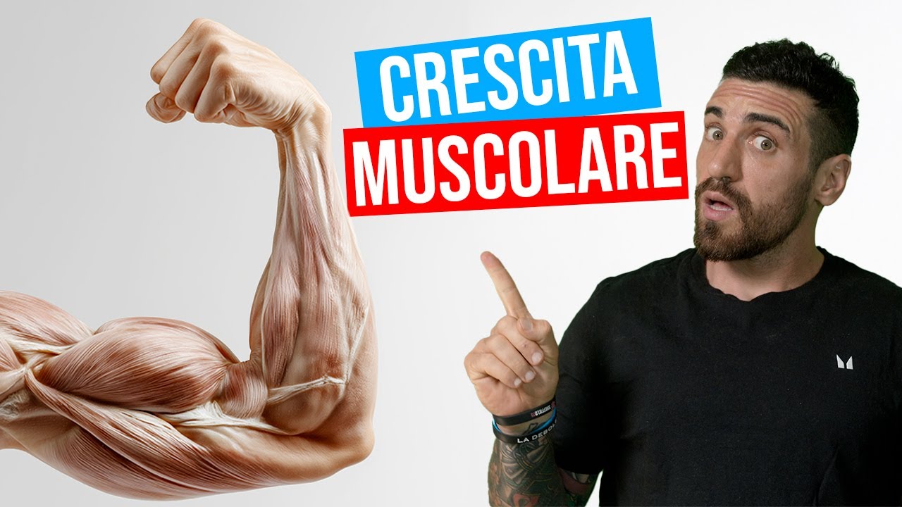 Come aumentare la tua massa muscolare: guida completa all&rsquo;ipertrofia