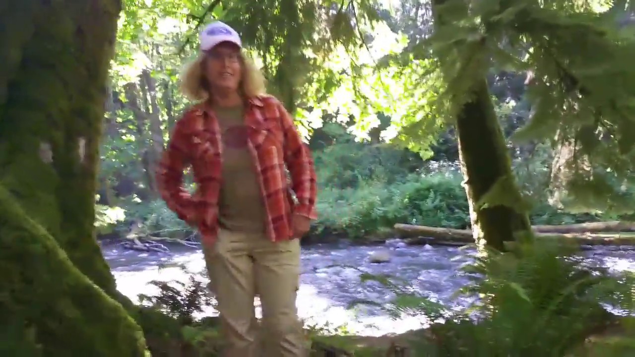 Nomadic Fanatic,  Living Free, Bex Cat Herder - Full time van life