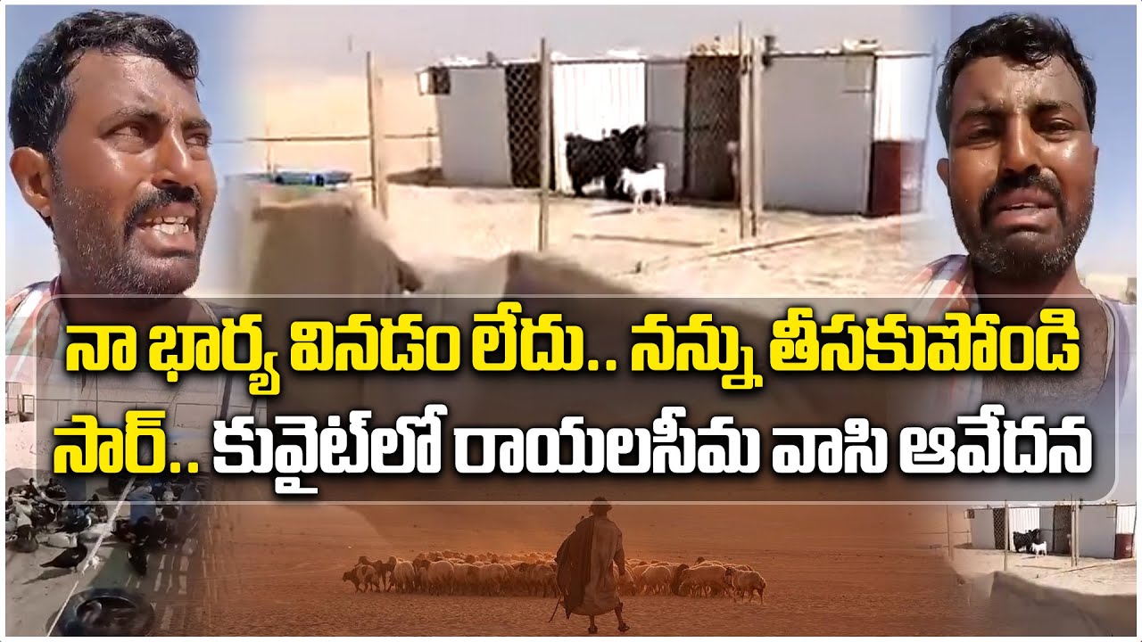 A Rayalaseema Man Stranded In Kuwait | Releases Video Seeking Help || Samayam Telugu