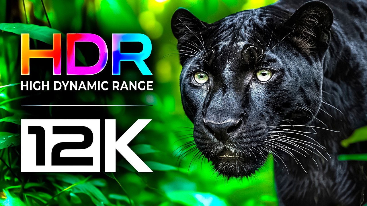 BEST TV HDR TEST IN THE WORLD / 8K VIDEO ULTRA HD DEMO DOLBY ATMOS