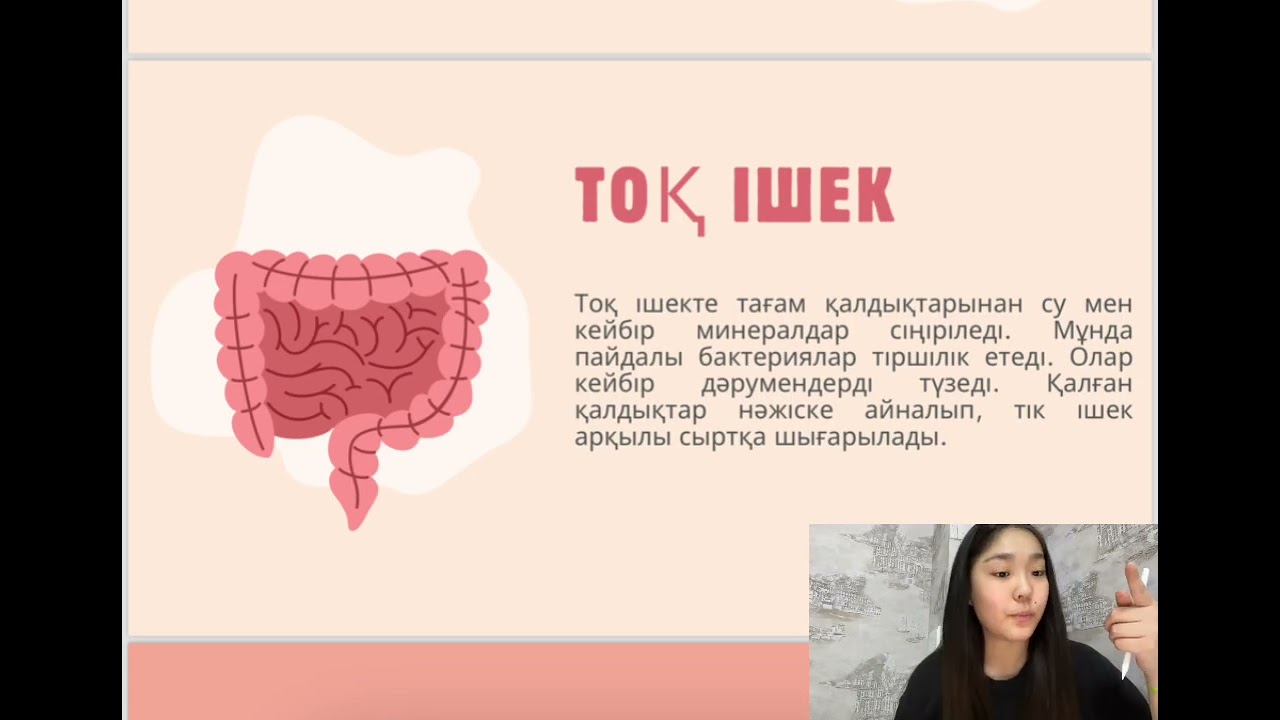 Ас қорыту жүйесі|Zhansaya Sungatqyzy|MTA