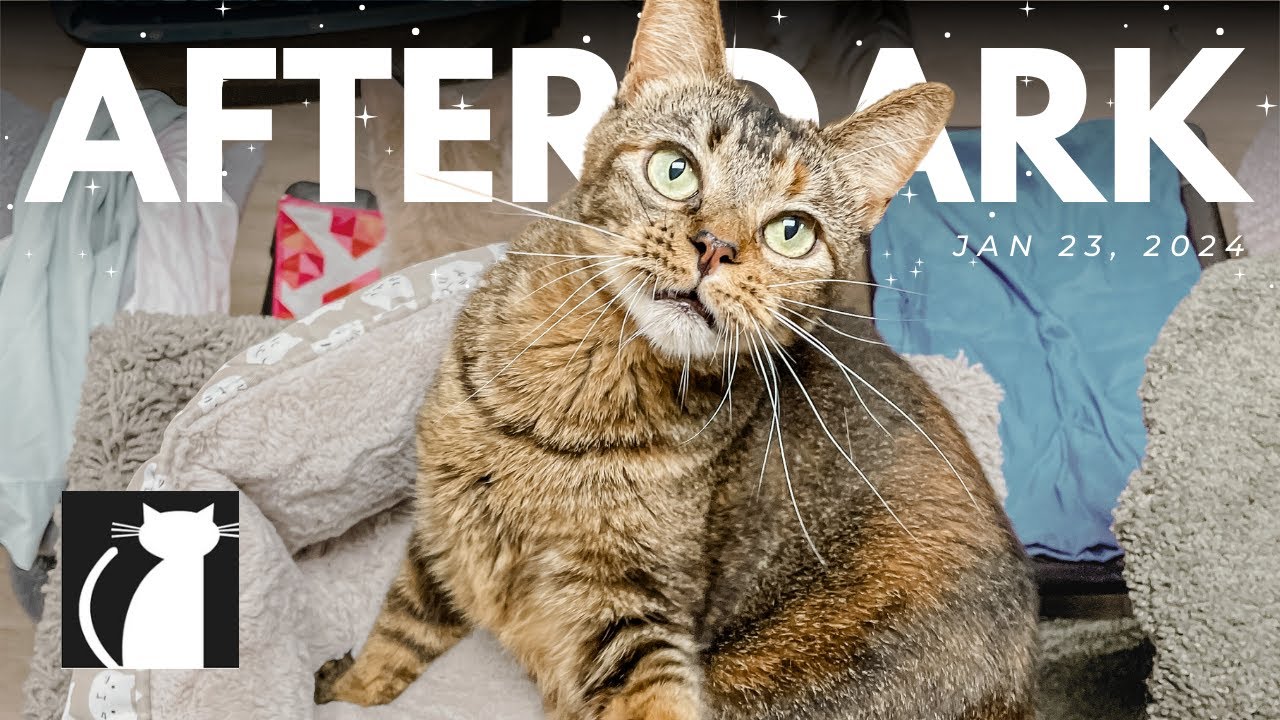 The Cattery AFTER DARK! Jan 23 | NEW co-host | LIVE Cat Show!