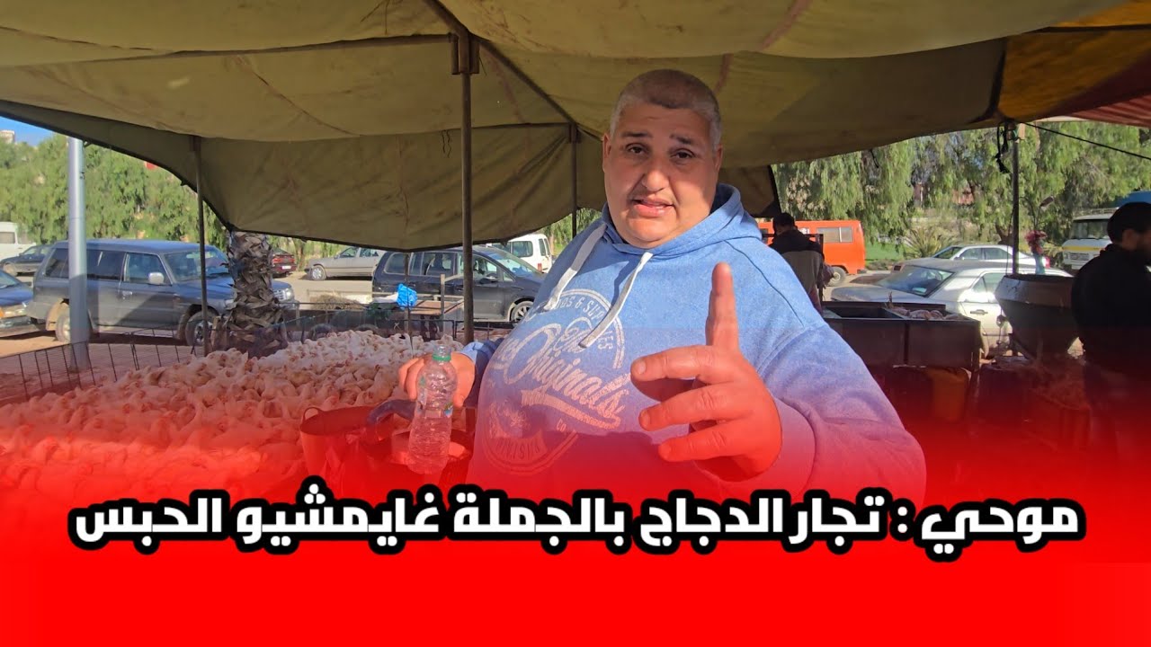 يارب السلامة شوفو شنو قال موحي تجار الدجاج بالجملة كاملين غايمشي الحبس لهذا السبب شوفو الفيديو