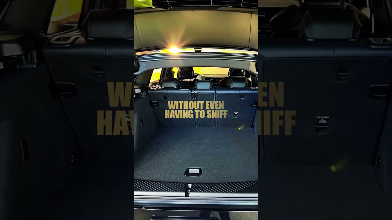 🚗 Can You Smell Through Your Eyes?