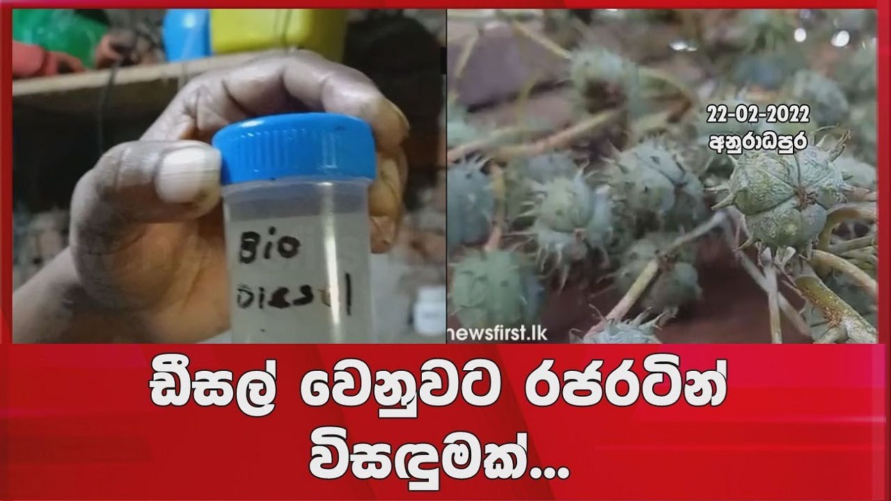ඩීසල් වෙනුවට රජරටින් සුපිරි විසඳුමක්... අපේ දේ අගයමු, නිශ්පාදනයට හිත දෙමු...