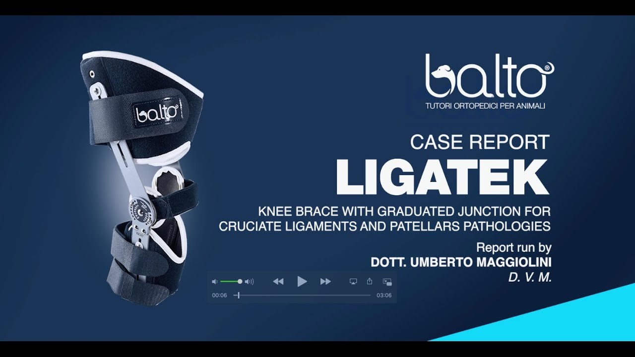 BALTO LIGATEK - Case Report