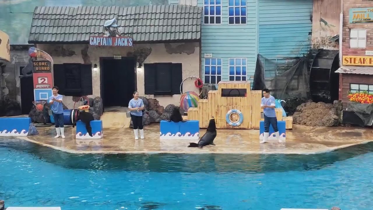 Thai Show Safari World