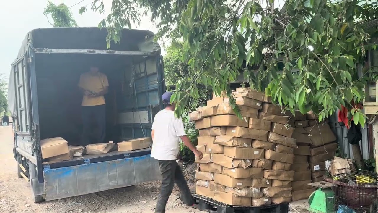 Dạ cô chú làm ơn giúp em 6trieu hôm nay chồng em quá mệt không nấu cơm nỗi em mua chả cẳng cá tươi 