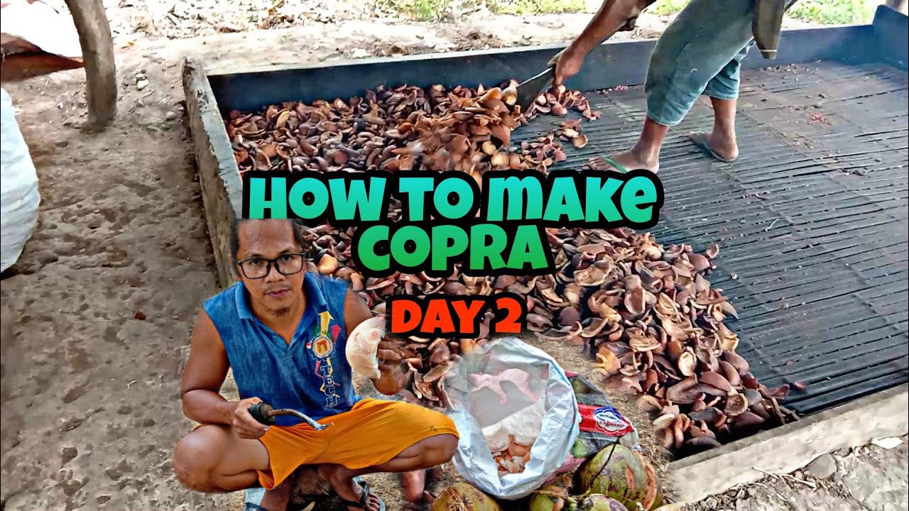 DAY2|HOW TO MAKE COPRA|luto na ang copra.