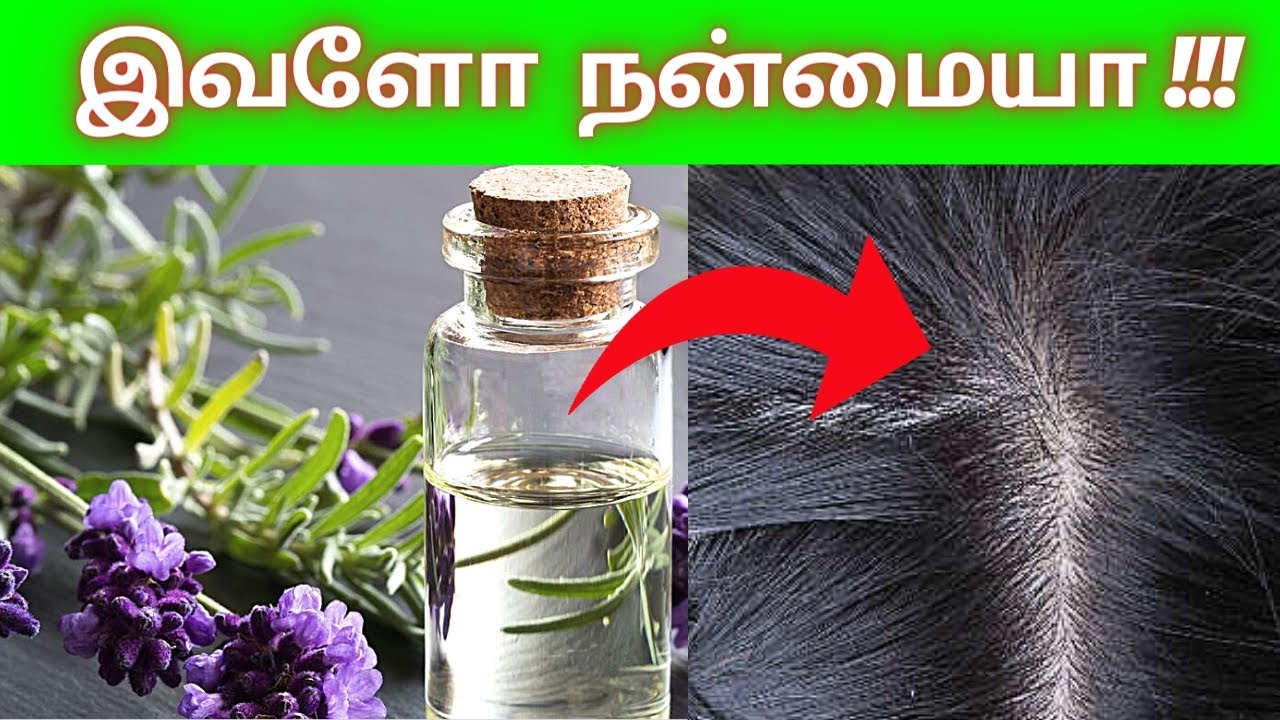 5 BENEFITS 😍 Lavender oil for Hair growth Tamil | How to Use 2023 | Natural Healthy Tips