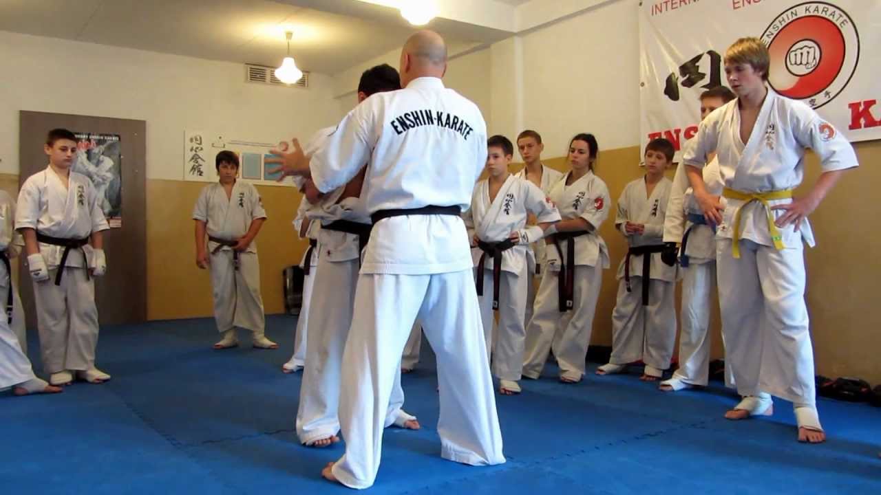 Ashihara Karate Ukraine.   Enshin Karate Ukraine. Winter Seminar 2013.