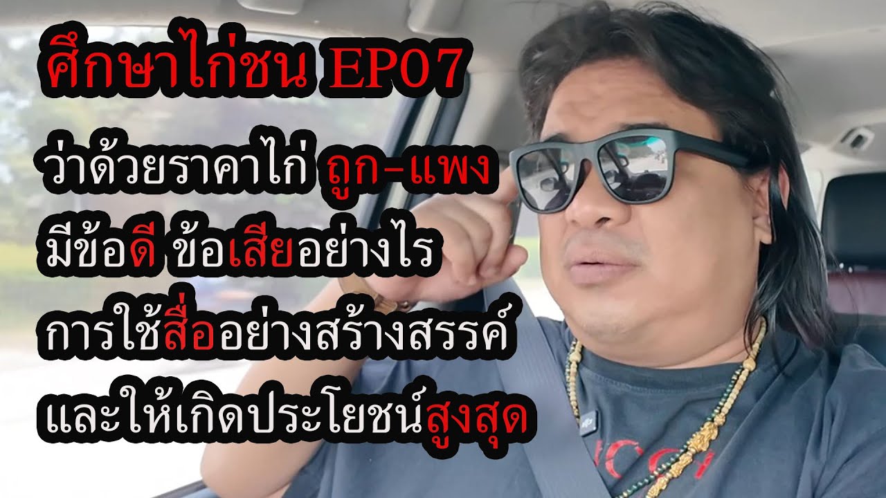 ศึกษาไก่ชน EP07  ว่าด้วยราคาไก่ถูก-แพง มีข้อดีข้อเสียแบบไหน และการ ใช้สื่ออย่างสร้างสรรค์