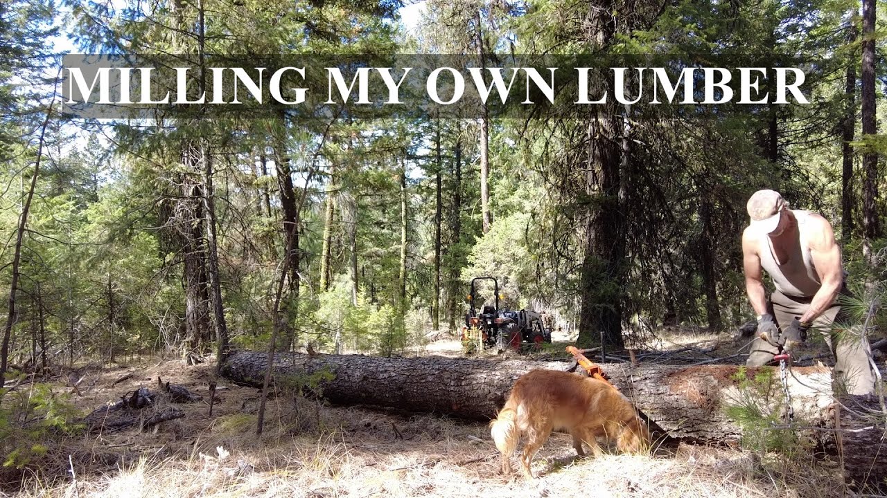 Felling Trees + Milling Lumber Re Edited | Beams, Boards, Lap Notches & Sage