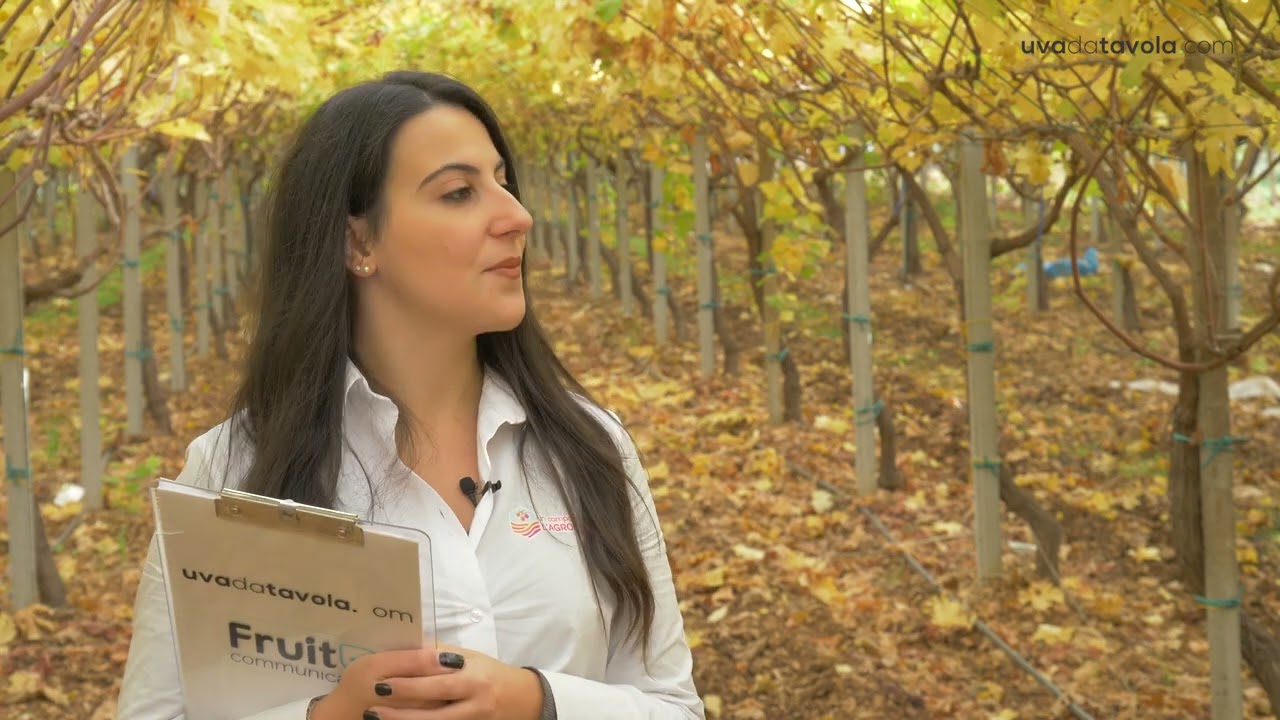 In campo con l'agronomo - 