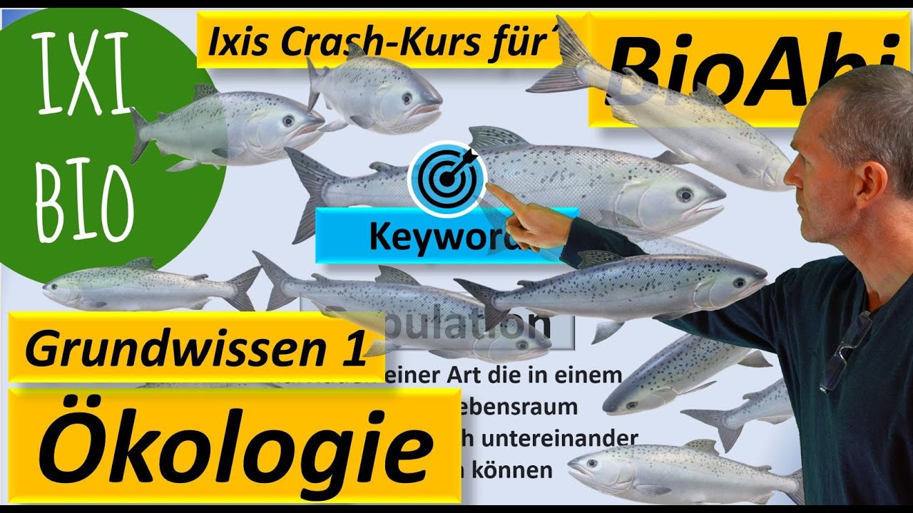 Ökologie - Grundwissen und Schlüsselbegriffe (Keywords) - Teil 1 - Biologie Abitur