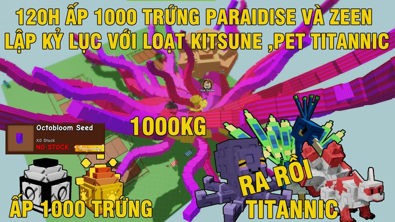 ẤP 1000 PARADISE ,ZEN EGG LẬP KỶ LỤC VỚI LOẠT KITSUNE PET TITANNIC VÀ BUG TRÁI OCTOBLOOM TUYỆT ĐẸP.