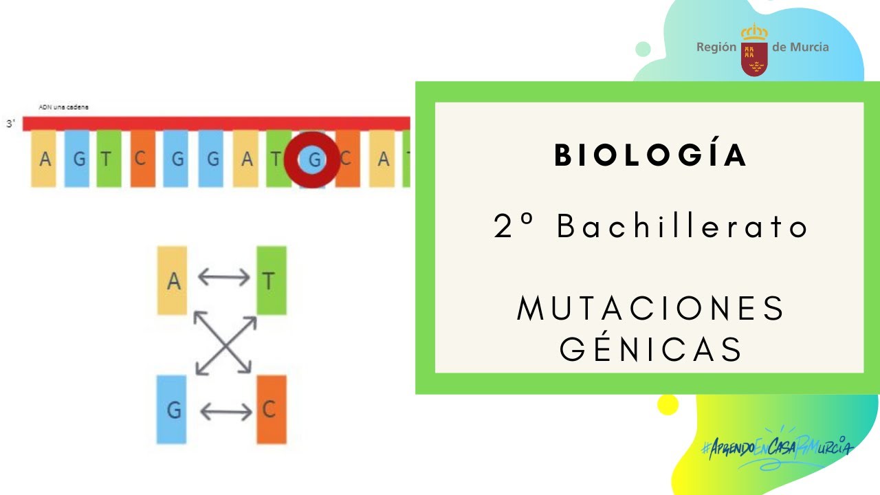 MUTACIONES GÉNICAS