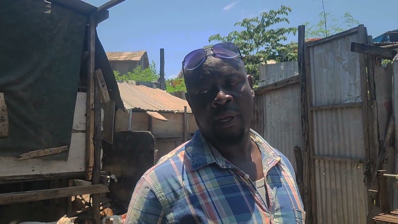 Ufugaji wa Mjini ufugaji Popote eneo Dogo mifugo inalipa