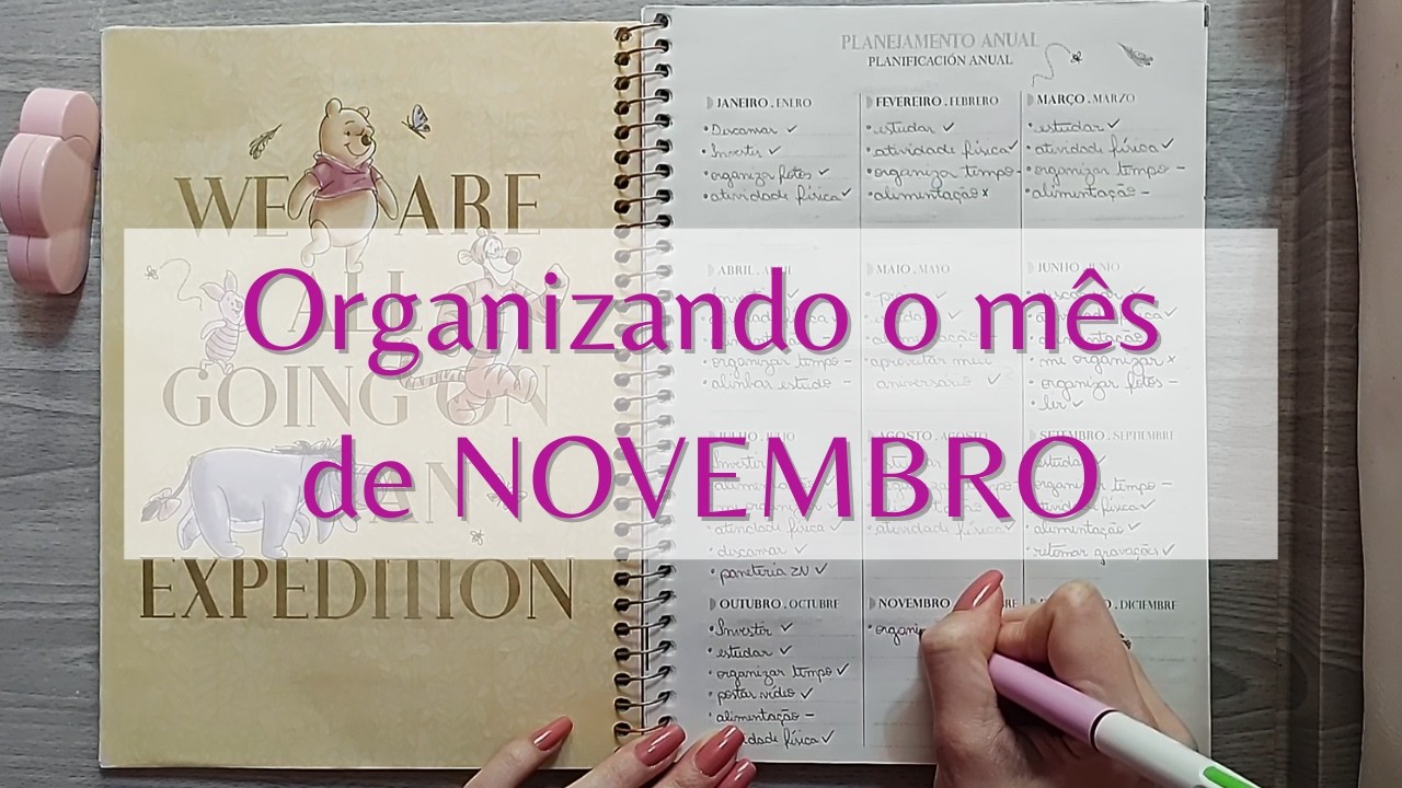 Planeje-se comigo para NOVEMBRO!! Decorando e organizando o planner! |  Plan with me for November!!