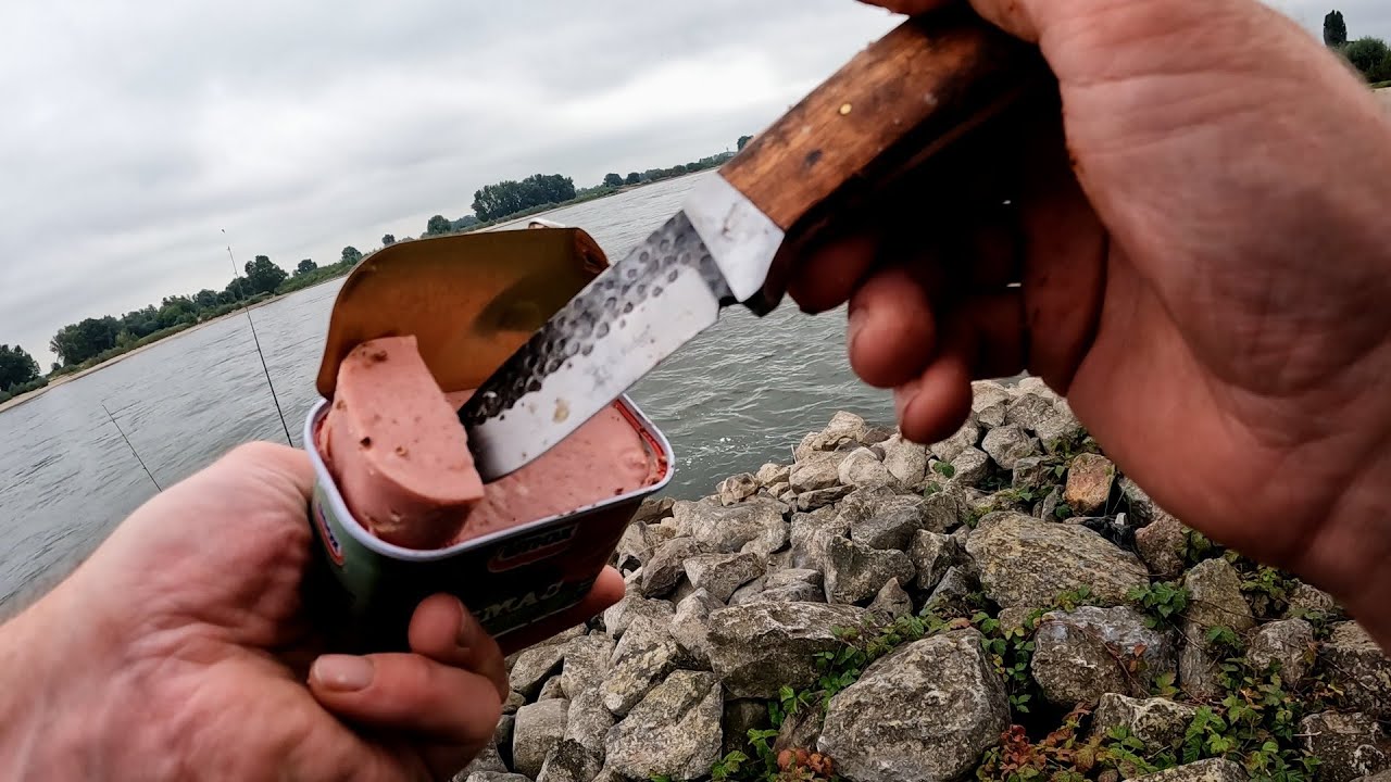 Barbelen met Kaas (#12): Nieuw aas & plek Check